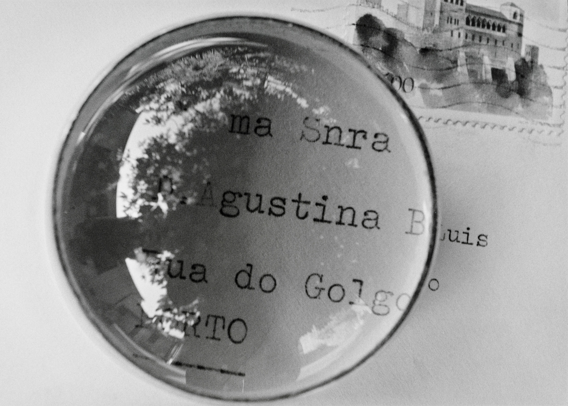 <p>Um cão que sonha - Agustina</p>