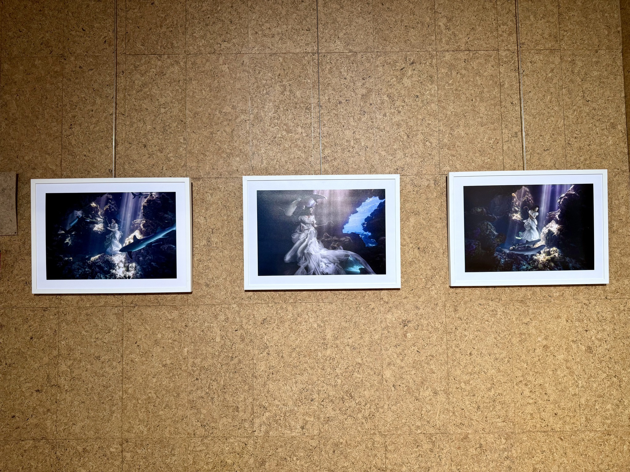 Documentation image