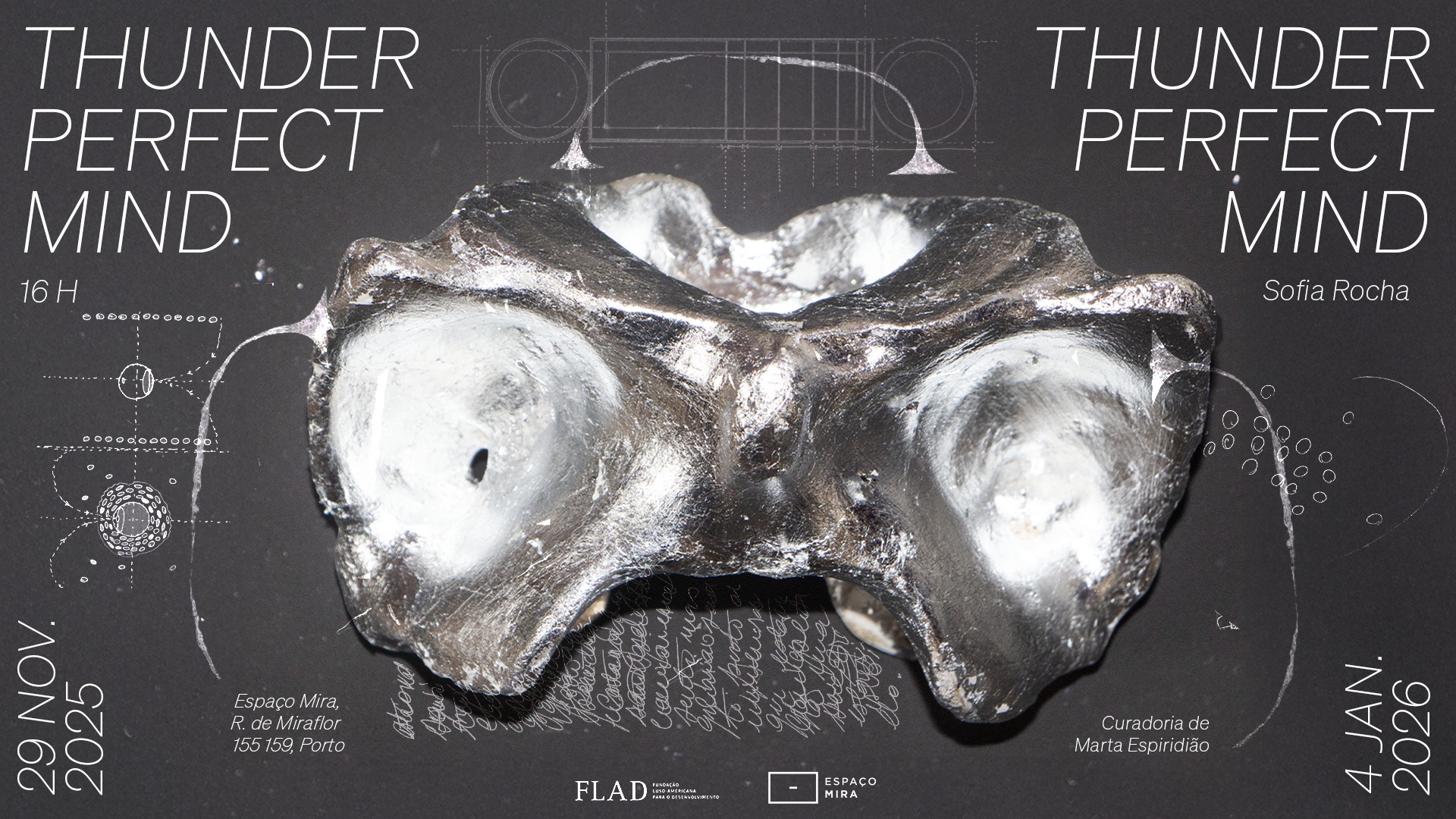 <p>THUNDER, PERFECT MIND</p>